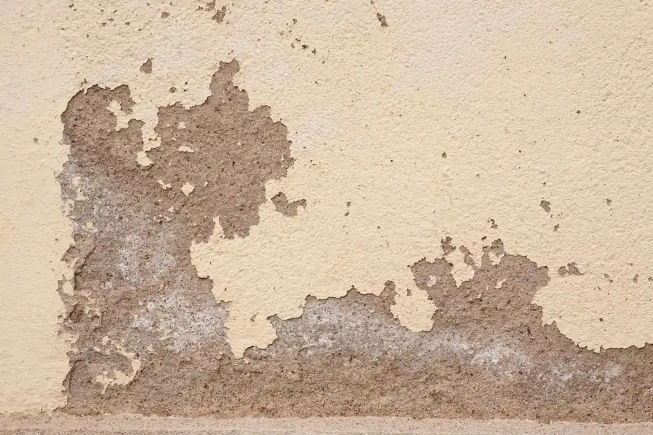Old wall with cracked plaster showing rough textures, ideal for backgrounds.